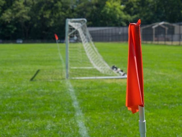 效率和防守 效率和防守