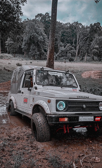 仅仅依靠资 仅仅依靠资