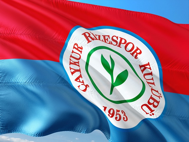 的重要球员 的重要球员