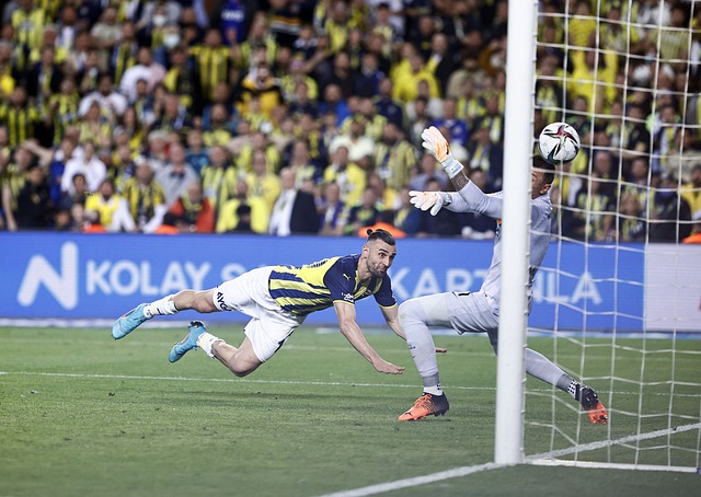 深圳队在比 深圳队在比